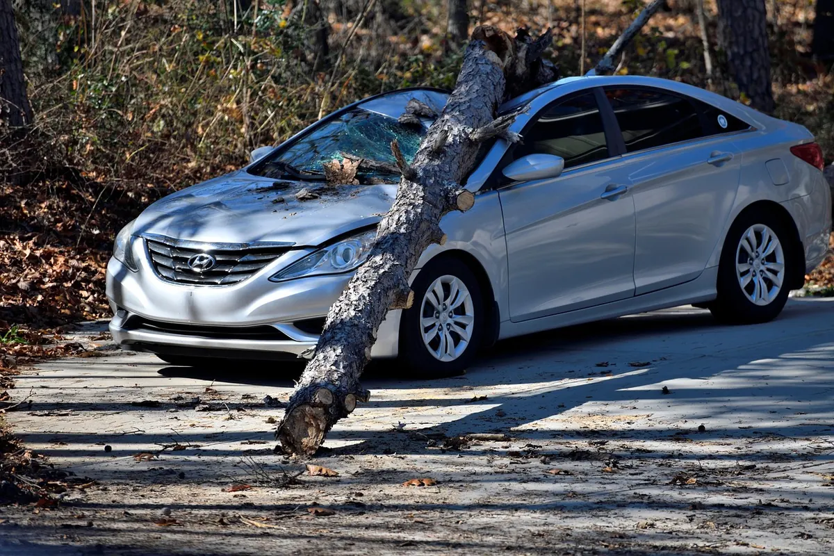 Common Mistakes When Reporting Local Wind Damage in Your Area